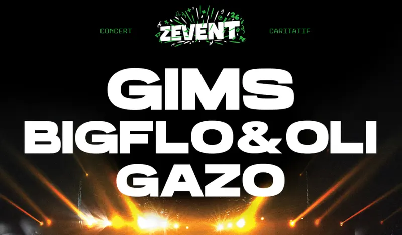 Visuel de Concert ZEvent